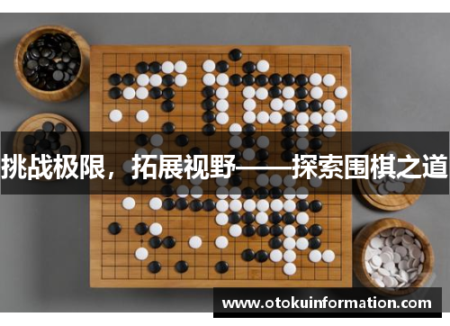 挑战极限，拓展视野——探索围棋之道